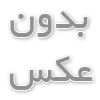 ویژگیهای عملکردی برگهای صنوبر و واکنش ریشه های ریز به آلودگی ازن تحت افزودن نیتروژن خاک (بخش چهارم)